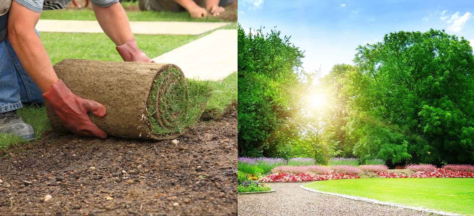 Landscaping Services & Lawn Care P.A. Landscaping & Lawn Care